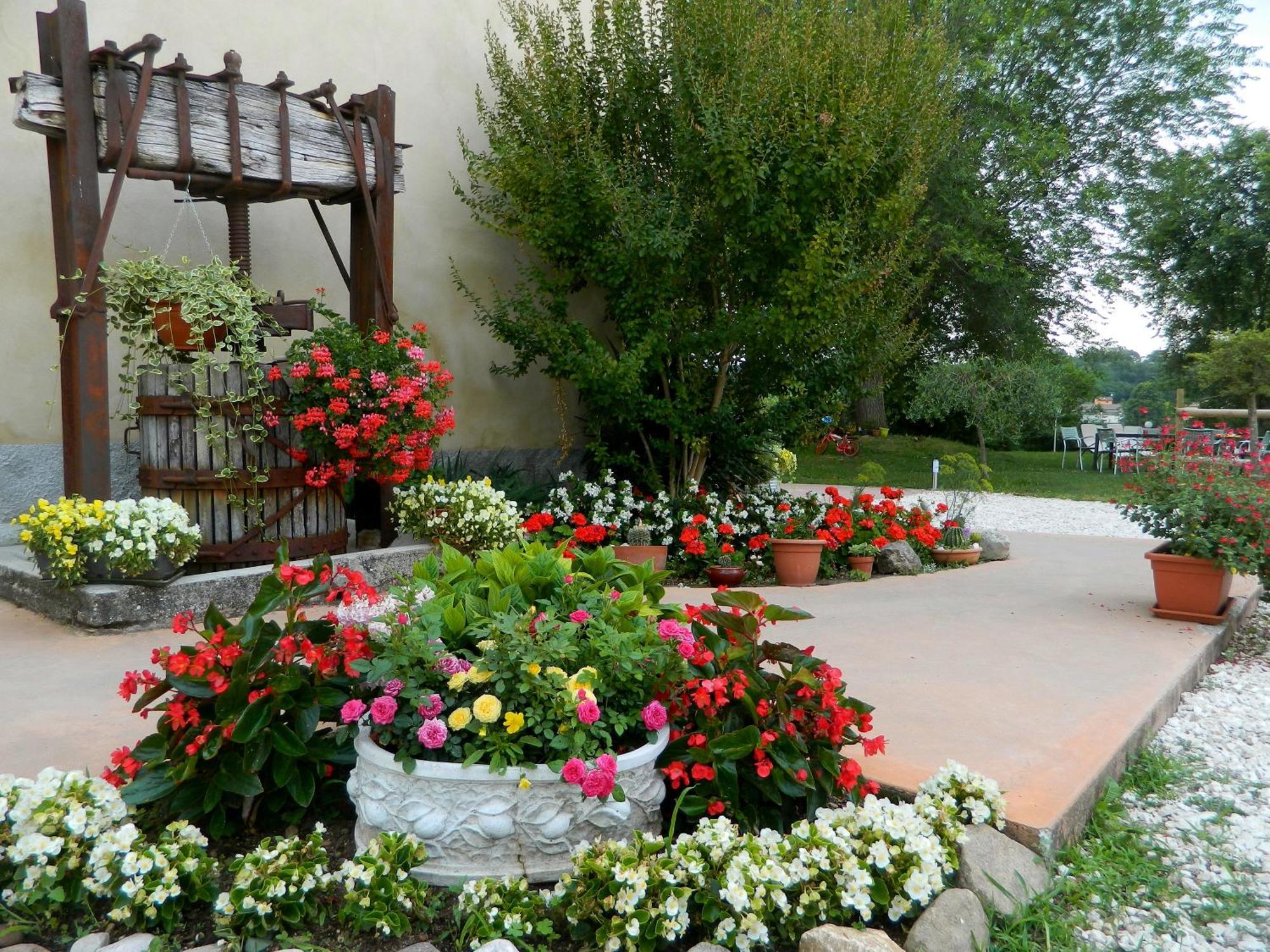 Гостевой дом Al Torcol Agriturismo Монцамбано Экстерьер фото