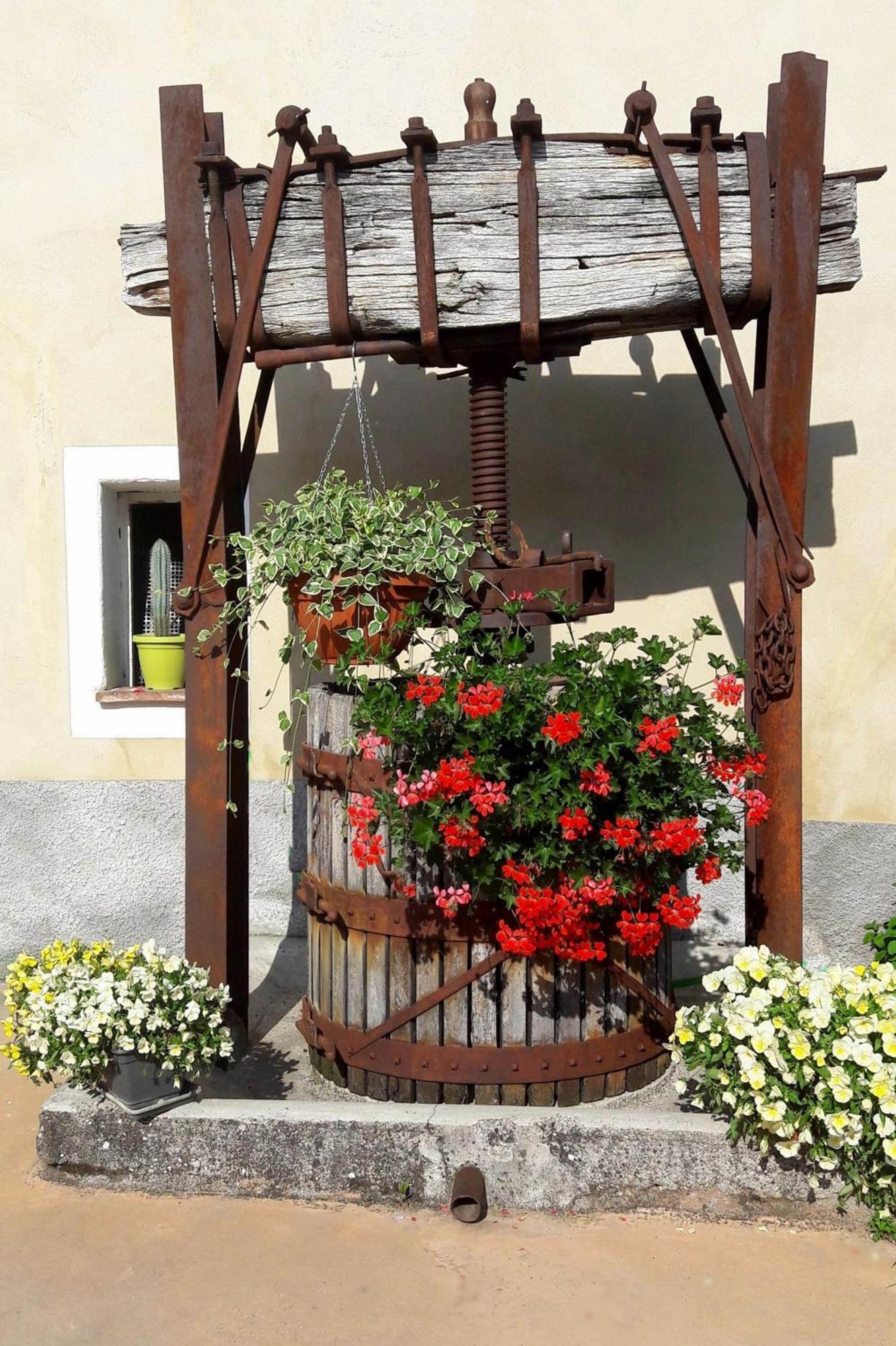 Гостевой дом Al Torcol Agriturismo Монцамбано Экстерьер фото